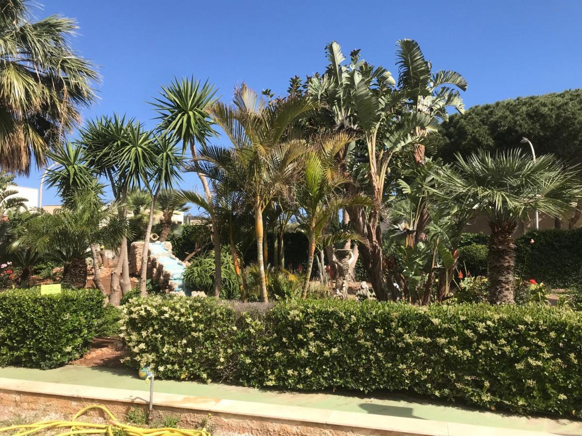 Le Palme Tropicali Apartment San Vito Lo Capo Bagian luar foto